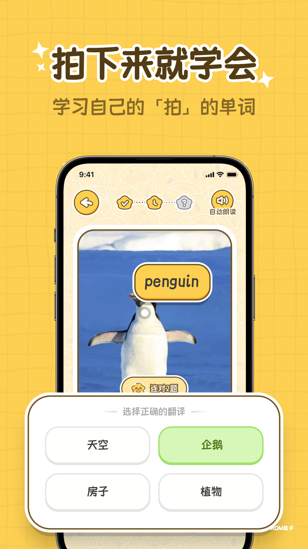 拍拍单词app