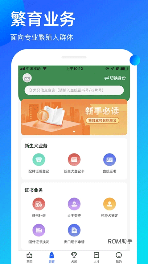 宠爱王国