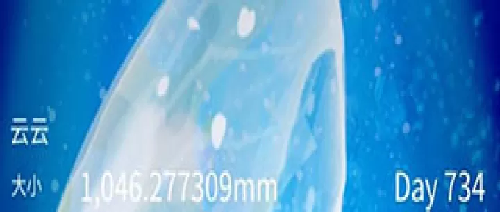 养育水母的治愈游戏_https://www.romzhushou.com_休闲益智_第1张