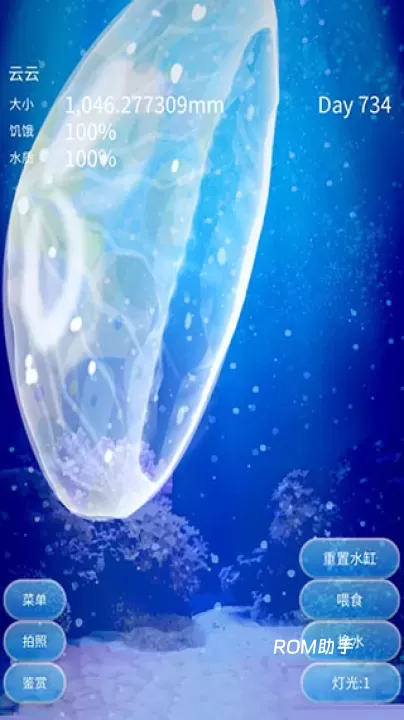 养育水母的治愈游戏_https://www.romzhushou.com_休闲益智_第4张