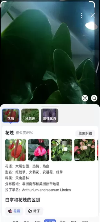 百度搜索App_https://www.romzhushou.com_系统工具_第2张