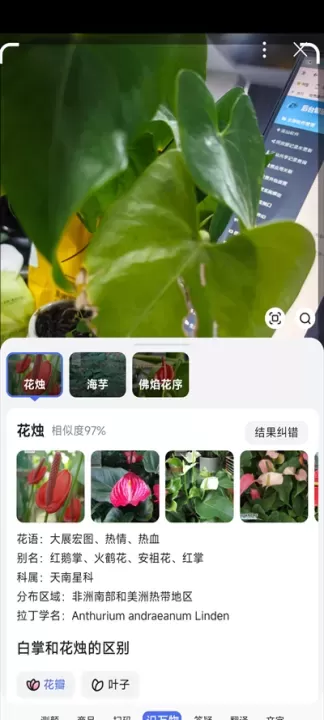 百度搜索App_https://www.romzhushou.com_系统工具_第5张