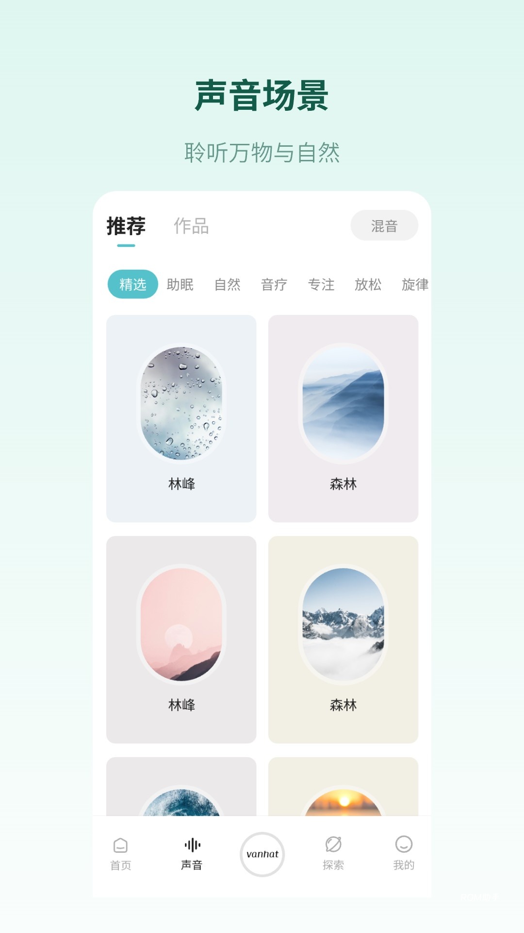 梵花田