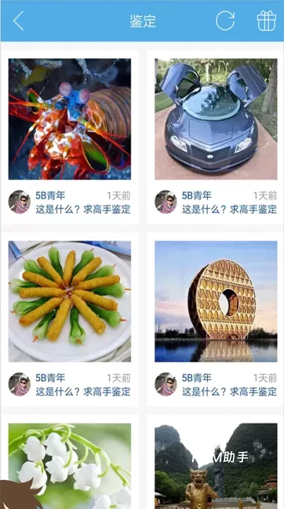 慧眼识图_https://www.romzhushou.com_手机美化_第3张