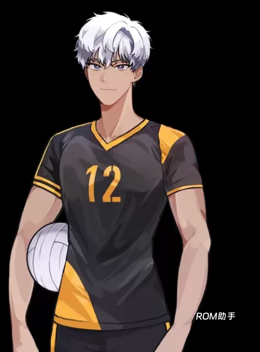 排球故事_https://www.romzhushou.com_体育竞技_第8张