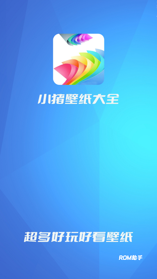 小猪壁纸大全