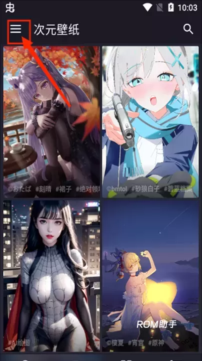 次元壁纸app_https://www.romzhushou.com_手机美化_第3张