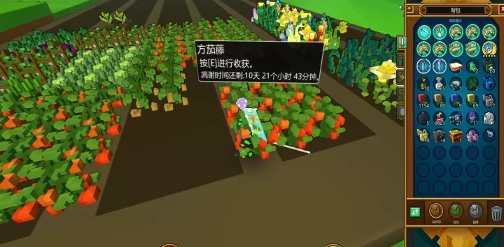 宝藏世界大揭秘!瓶子种植玩法全解析_游戏攻略_第2张_ROM助手应用商店 宝藏世界大揭秘!瓶子种植玩法全解析_https://www.romzhushou.com_游戏攻略_第2张