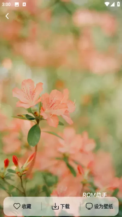 跃动壁纸_手机美化_第2张_ROM助手应用商店 跃动壁纸_https://www.romzhushou.com_手机美化_第2张