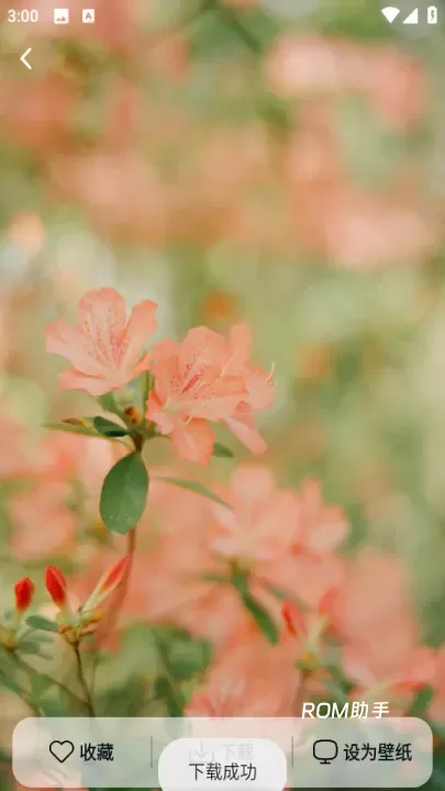 跃动壁纸_手机美化_第4张_ROM助手应用商店 跃动壁纸_https://www.romzhushou.com_手机美化_第4张