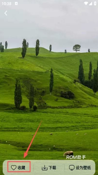 跃动壁纸_手机美化_第5张_ROM助手应用商店 跃动壁纸_https://www.romzhushou.com_手机美化_第5张