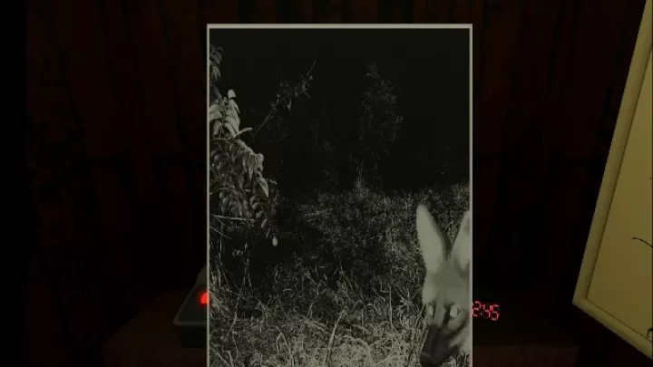 动物观察员_https://www.romzhushou.com_动作冒险_第3张